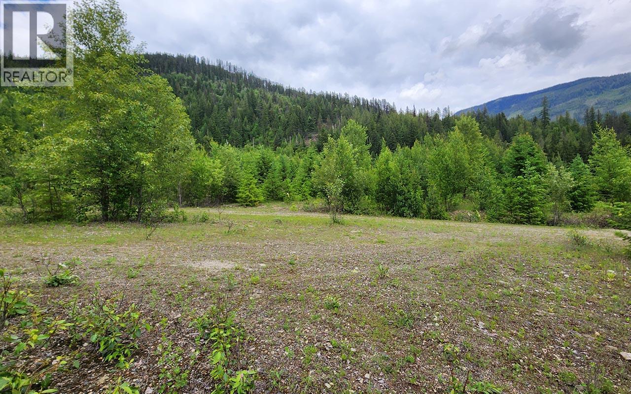 Excellent building sites and road potential on entire parcel.