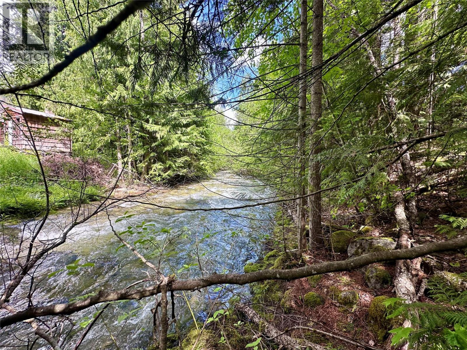 Springer Creek