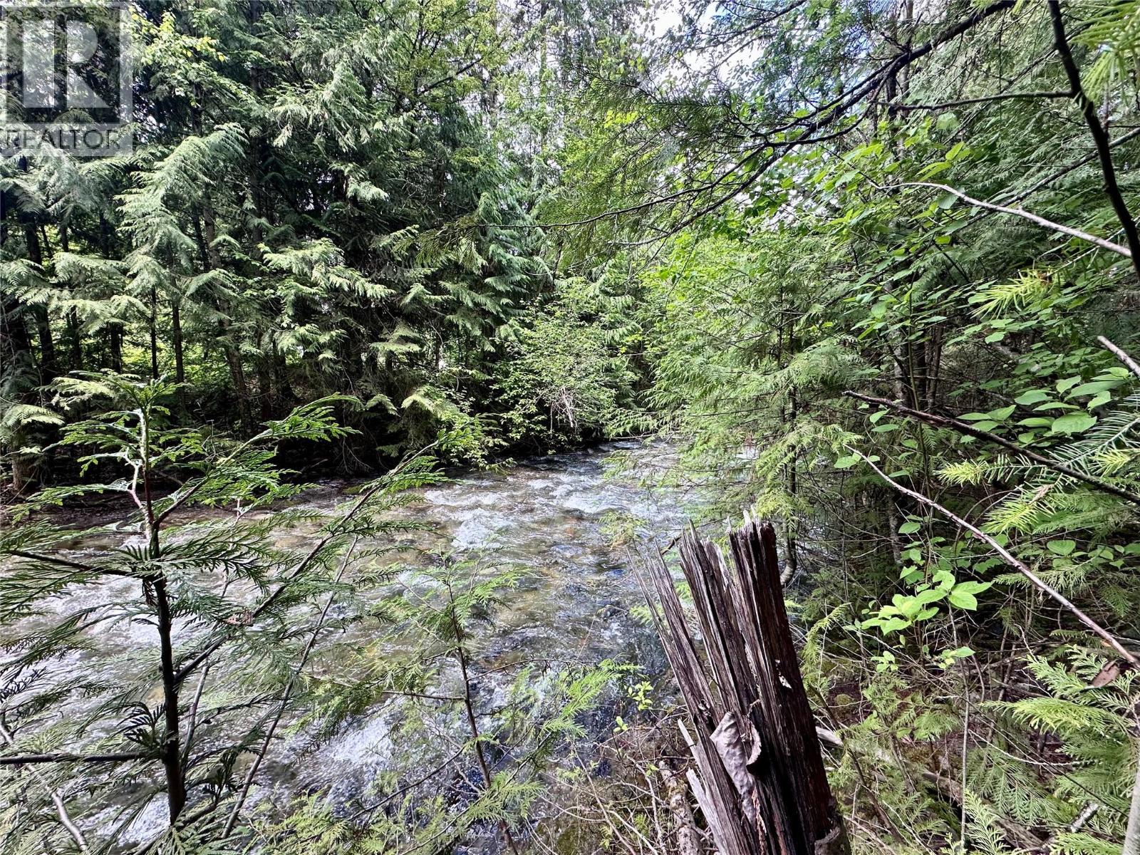 Springer Creek