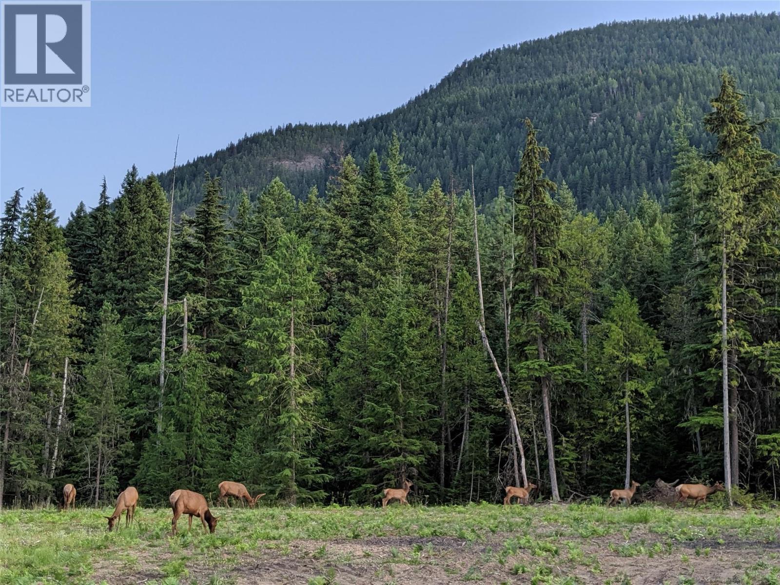 Yes, these are real Elk