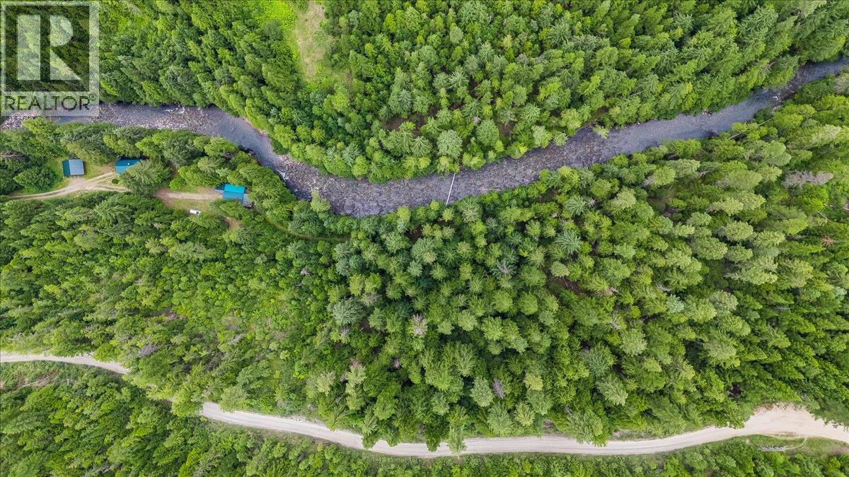Bike trails -->