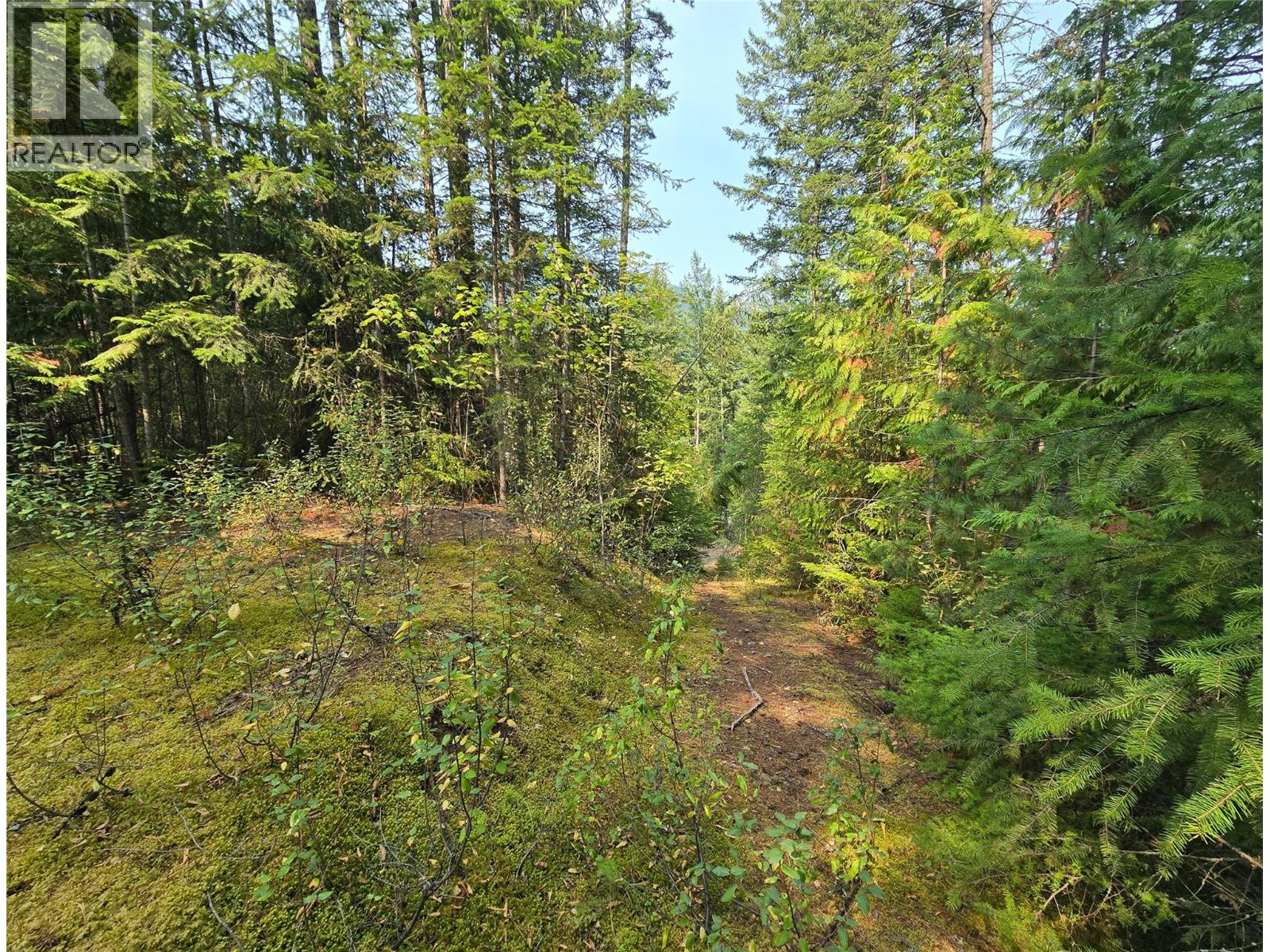 Top of driveway