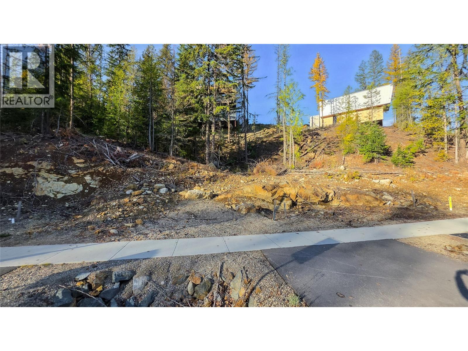 Lot 5