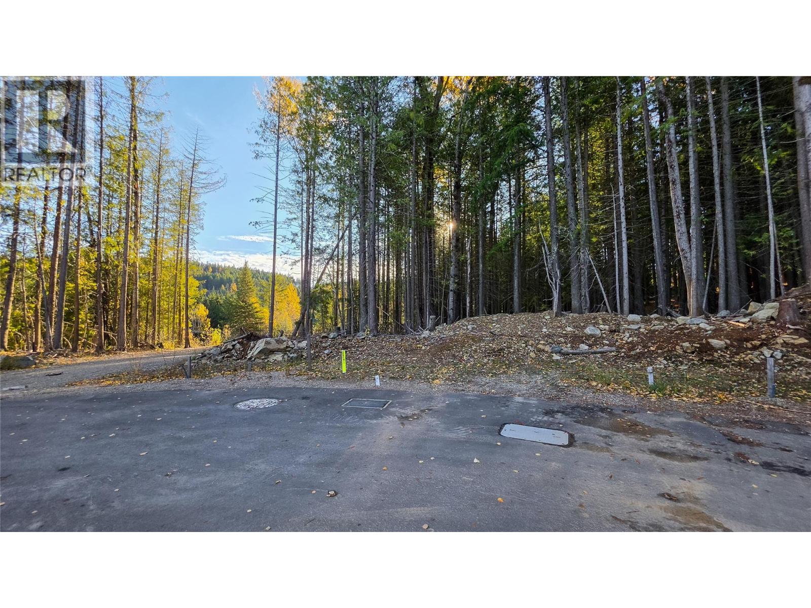 414 Centennial Place, Rossland BC