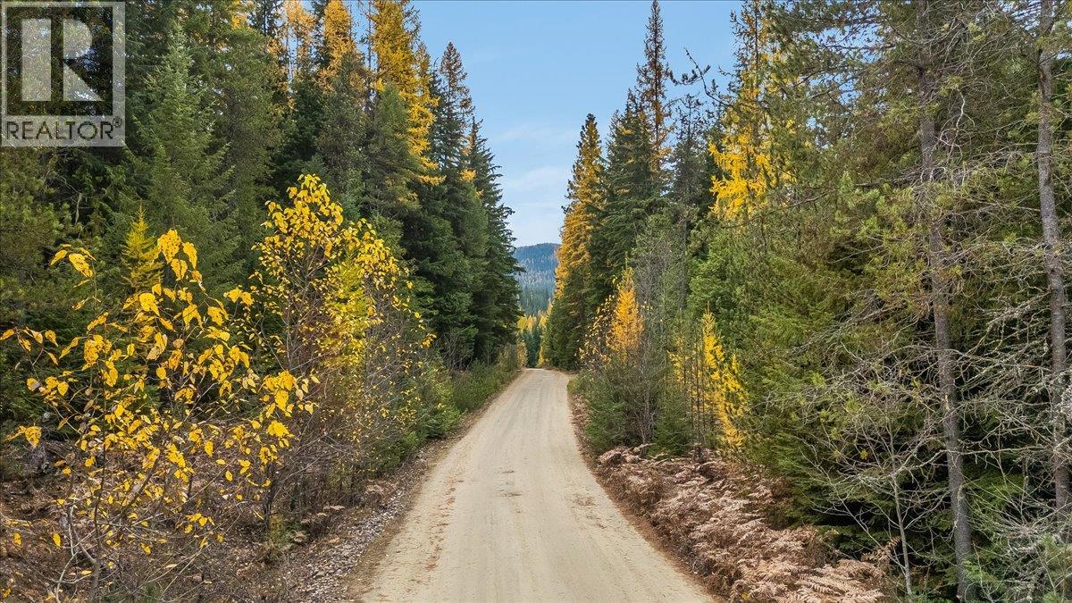 Claybrick Rd. leading to Lot 13.
