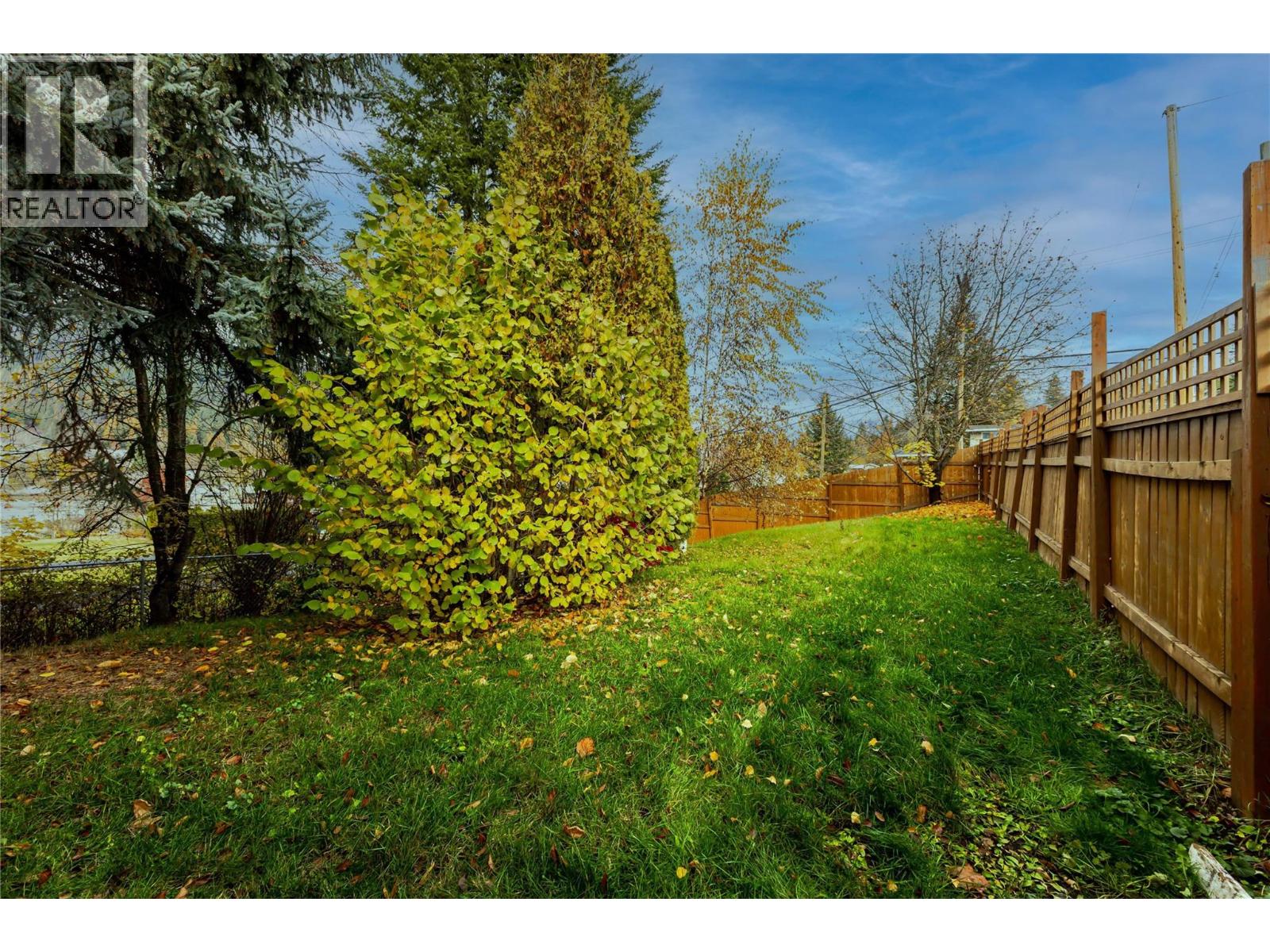 fenced yard.