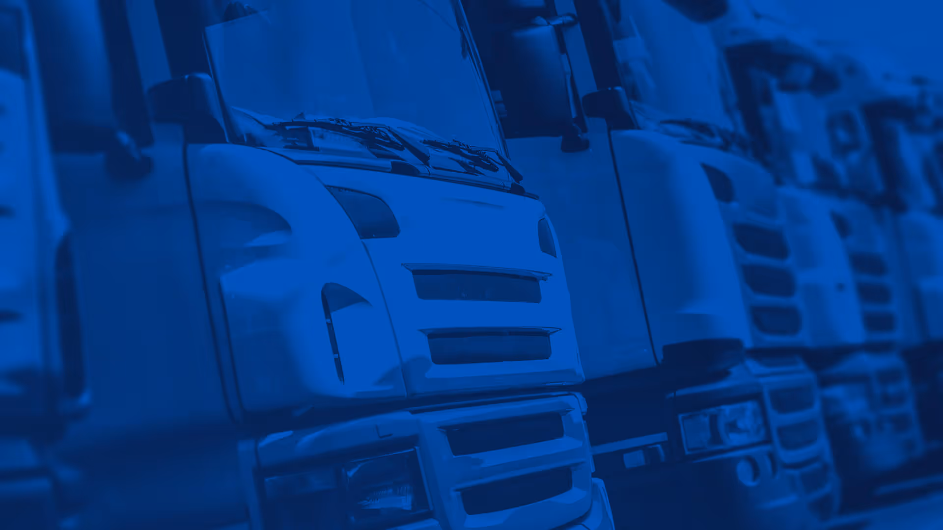 Angled row of parked semi trucks