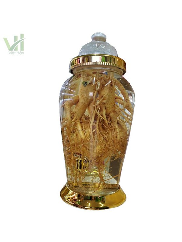 cách ngâm rượu sâm tươi tại nhà