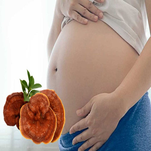 Những ai không nên dùng nấm linh chi để bồi bổ sức khỏe