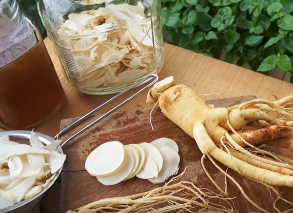 Sơ chế sâm tươi ngâm rượu