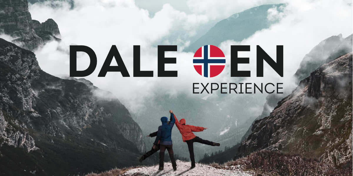 DALE OEN EXPERIENCE STI