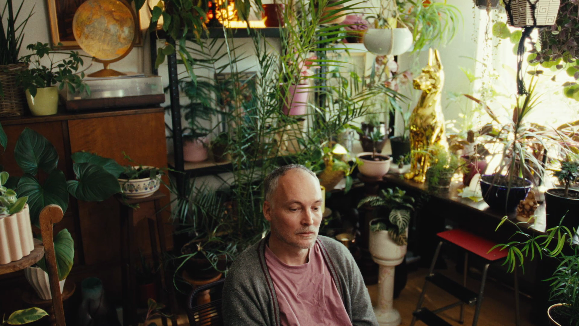 Medicinsk cannabis - Reklamefilm for Invest in Odense af produktionsselskabet Goodwill