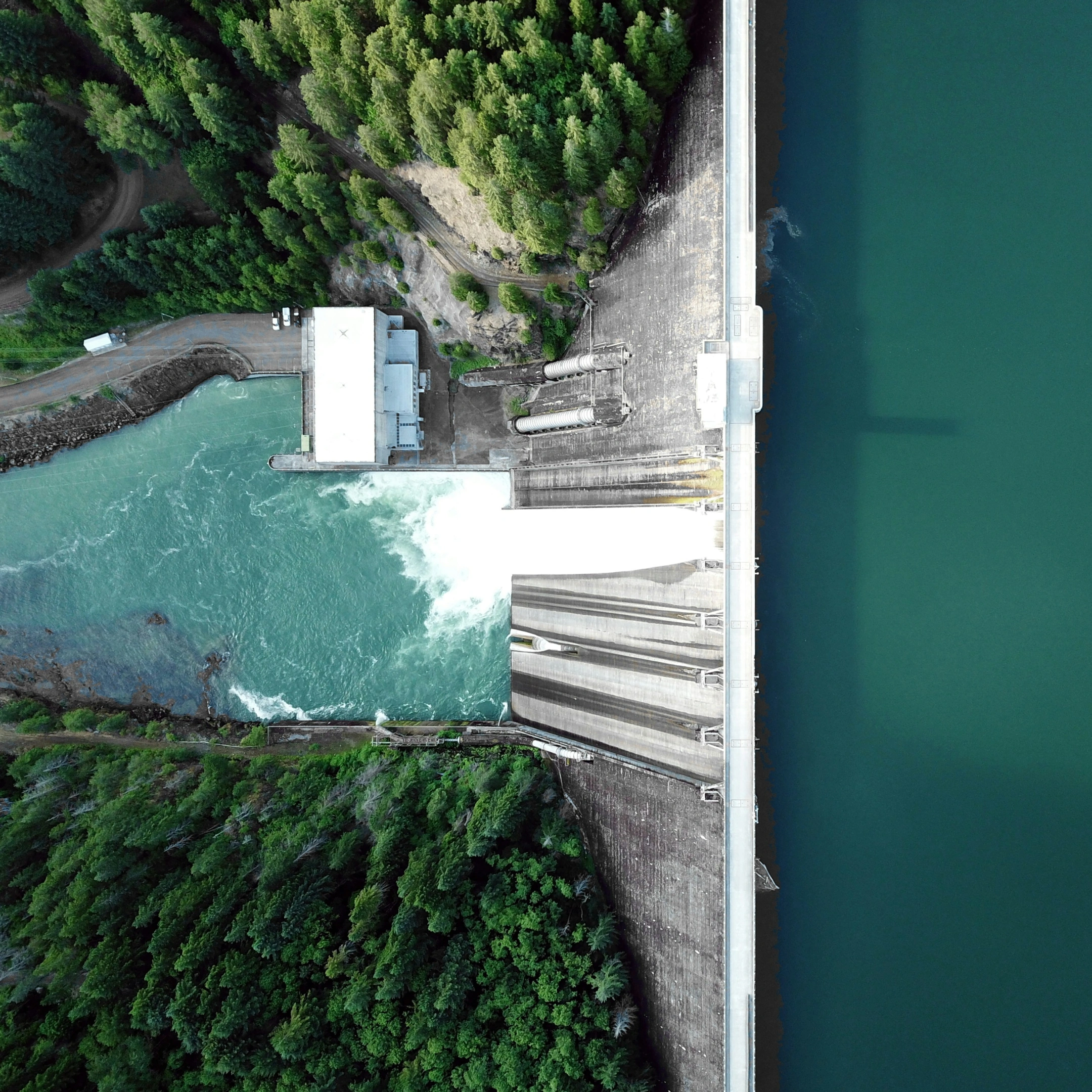 LTL_visuel_tâchevin