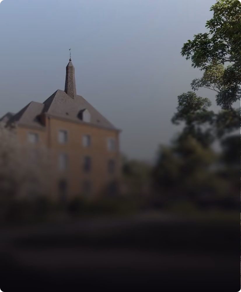 Blurred image of a multi-story building with a tall pointed roof and a weather vane on top, surrounded by trees under a gray sky.