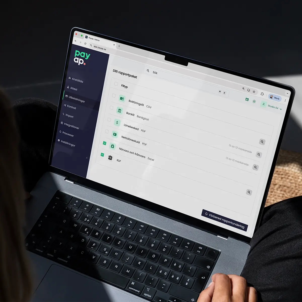 Lönekonsult tar fram rapporter i Payaps gränssnitt