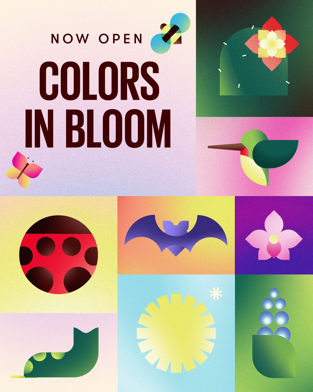 Colors in Bloom ð·ð¸ðµ