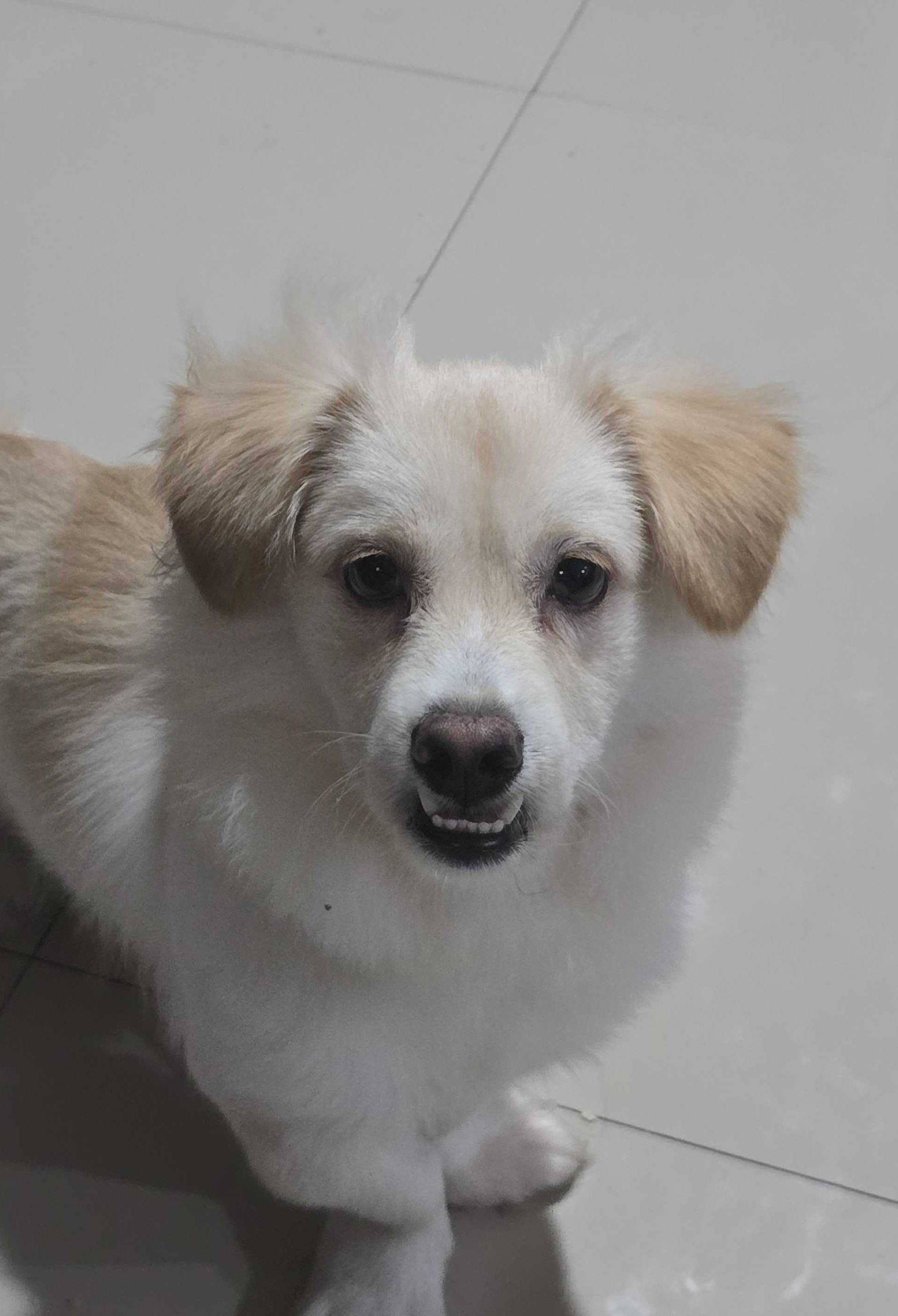 Ella