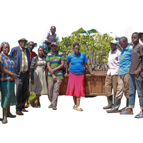 Group of people standing outdoors around a cart filled with tree seedlings in plastic bags.
