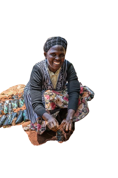 Smiling woman outdoors in headscarf and floral skirt squatting and preparing seedling bags with soil.