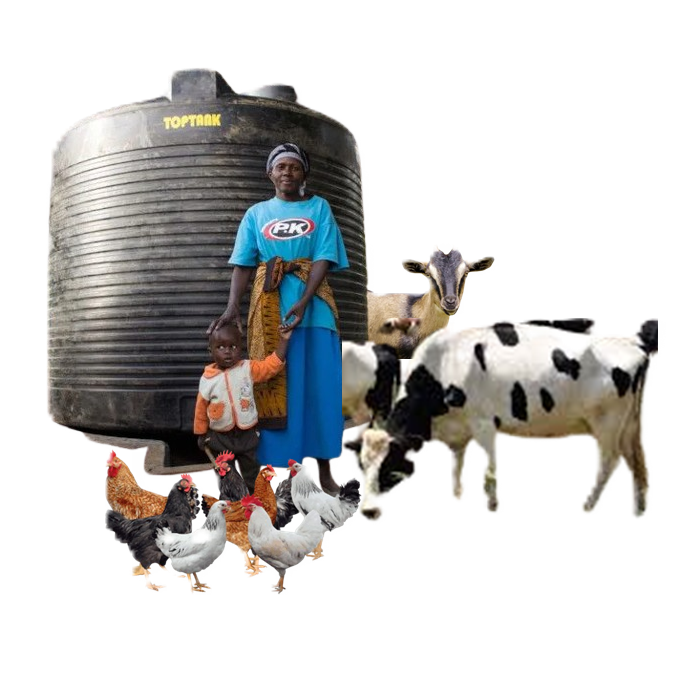 Woman and child standing in front of a large water storage tank with various chickens, a goat, and two cows nearby.