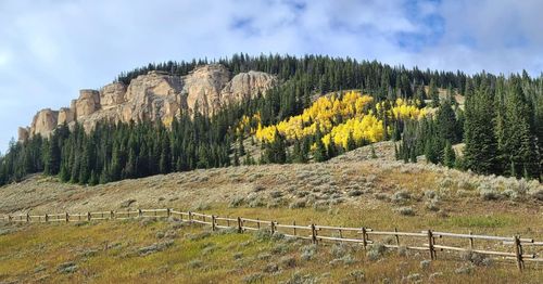 A roaring waterfall rushing down a canyon