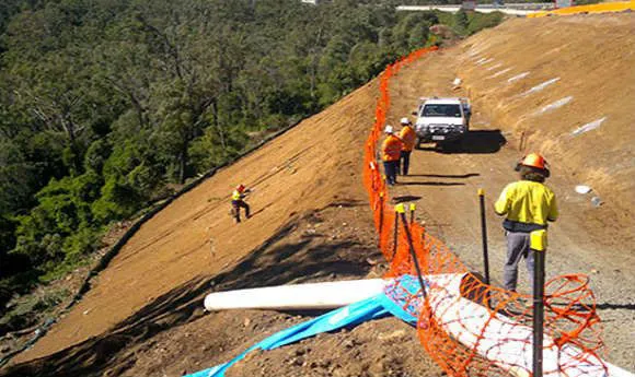 a total tree service worker clearing the site