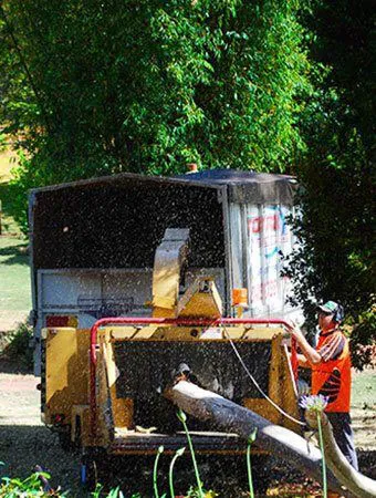 a total tree service worker grinding a wood