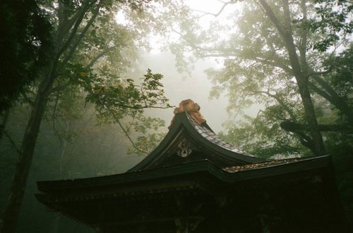 there is only god's face