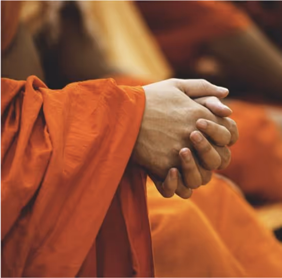 Collaborating entity Buddhistdoor in Spanish.