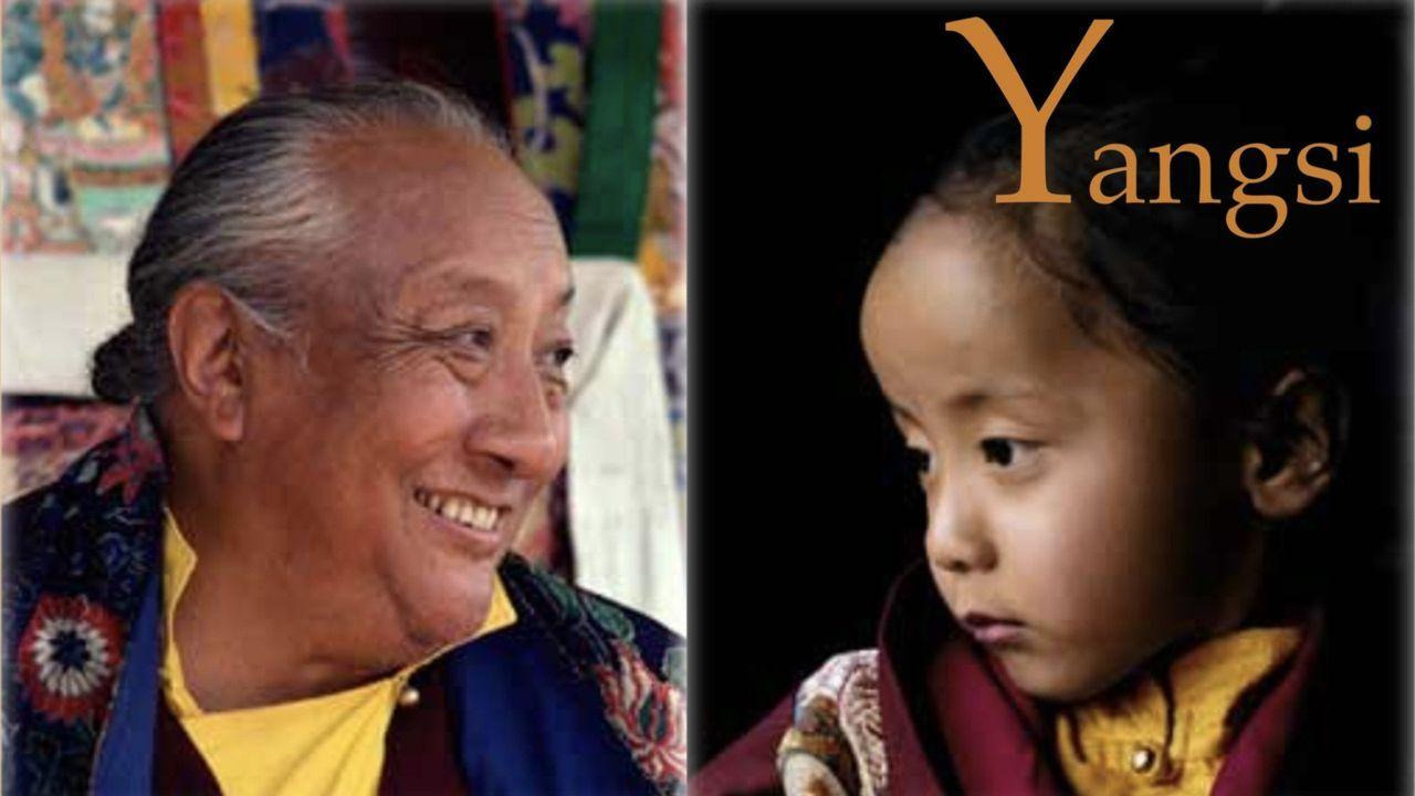 Watch Yangsi (2012) Full Movie Free Online - Plex