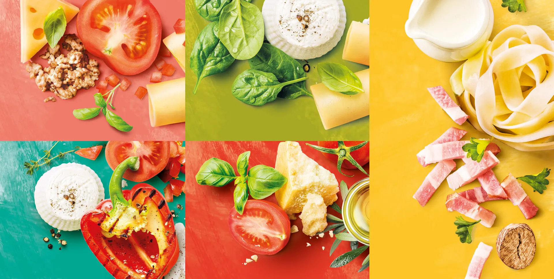 a collage of different vegetables used for a lasagne on colorful backdrops