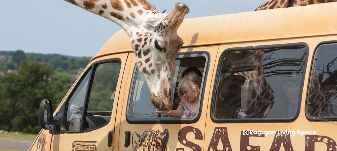 West Midland Safari Park