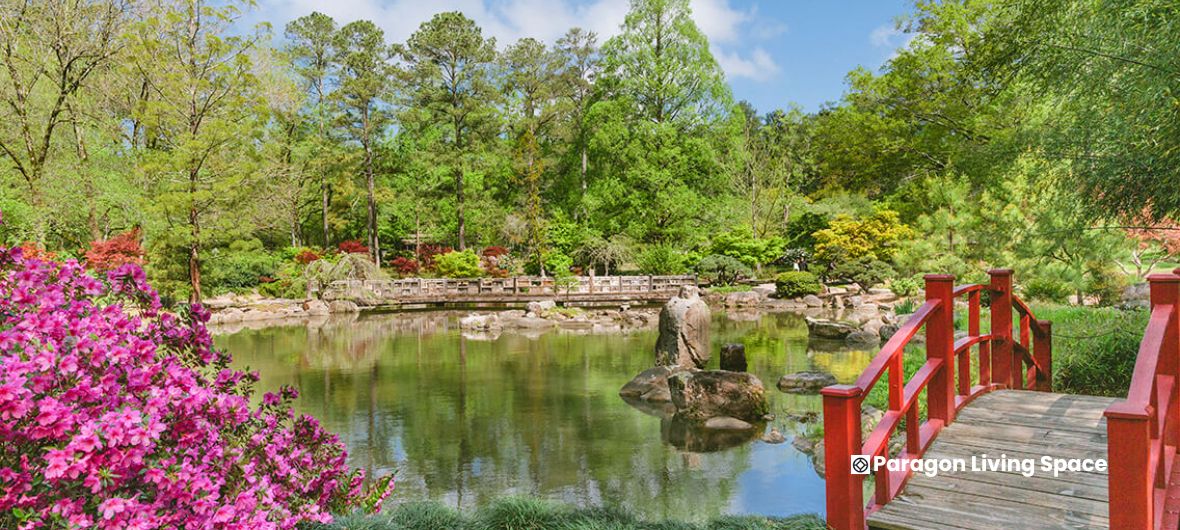 Birmingham Botanical Gardens