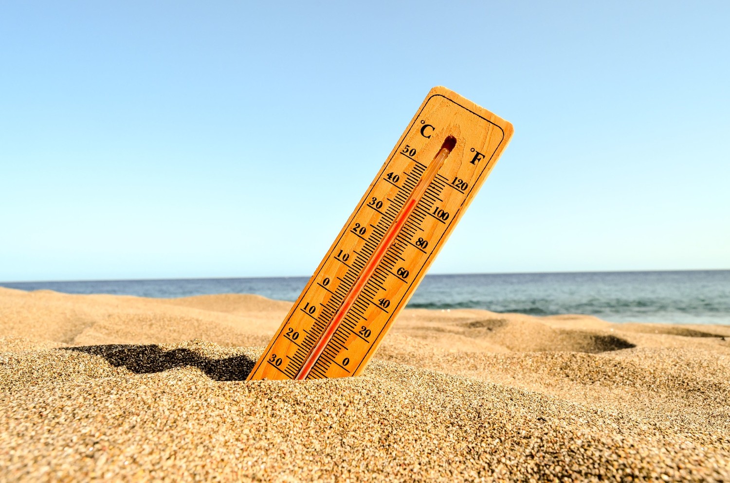 Photo canicule.
