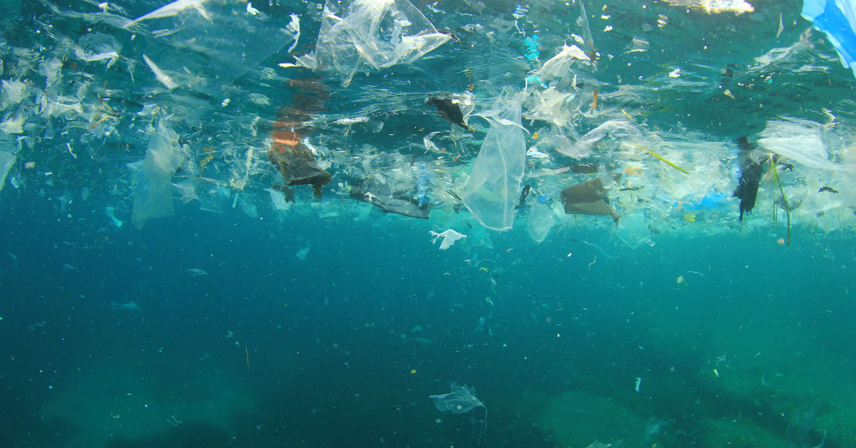Automated anomaly detection increases transparency in waste certification