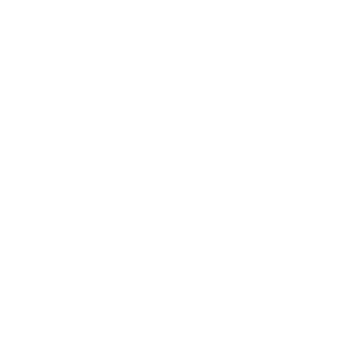 logo webflow