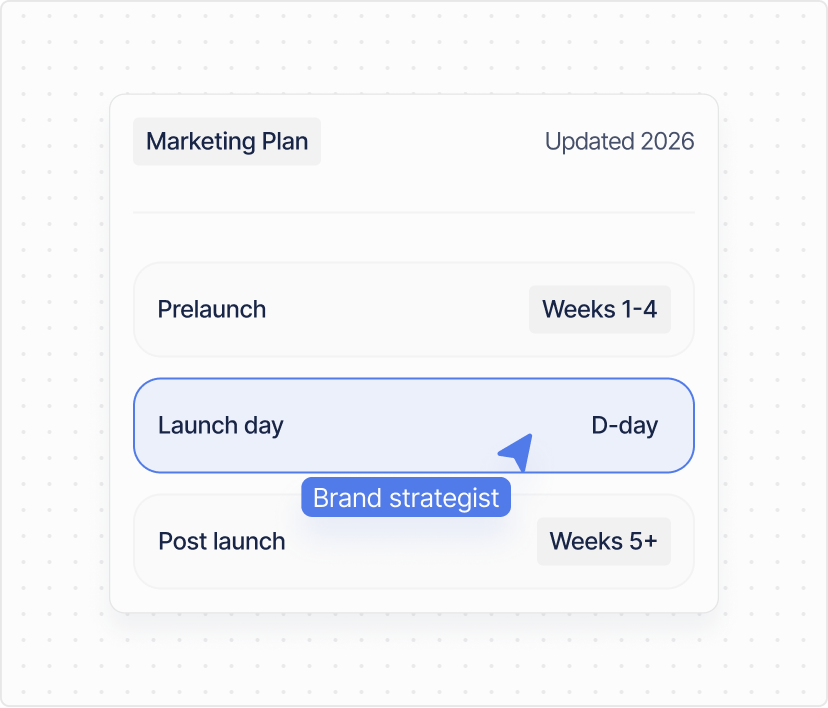 Marketing plan timeline for prelaunch, launch day and post launch