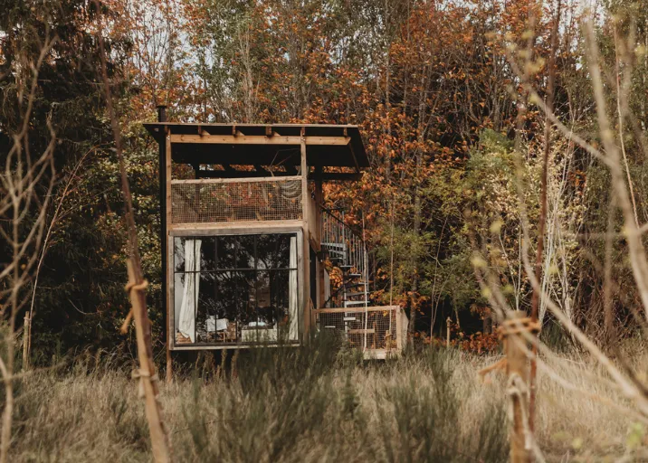 Eine Canopy Cabin im Herbst