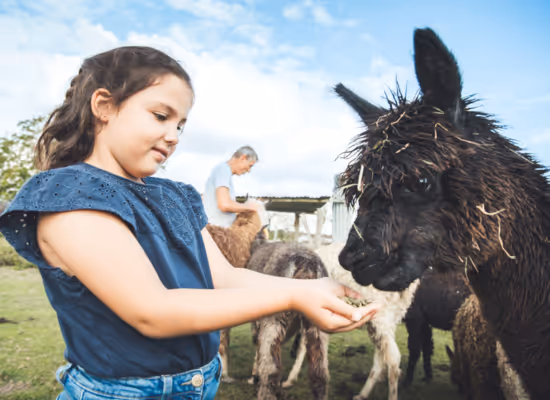 A girl having family fun on a farm near Nutchel Champagne