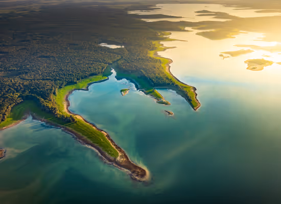 Things to do near Nutchel Champagne : lakes of Forêt d'Orient