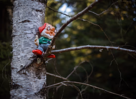 One of the toy put up in a tree for the tree hunt at Nutchel Alsace