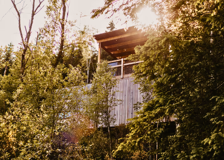 Ein gemütliches Baumhaus im Elsass