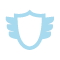 icon of a shield