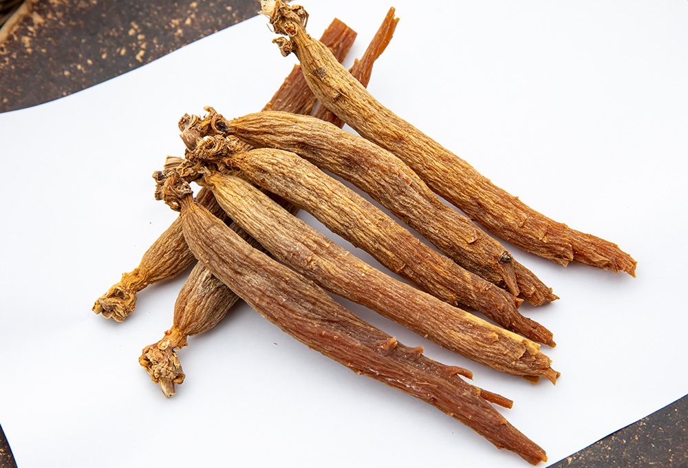 信州人参とは？国内屈指の長寿の地で育つ希少価値