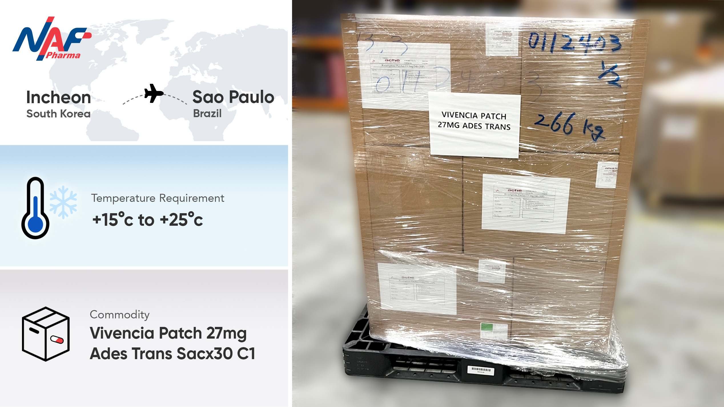 Shipping with Confidence: Our Strategy for VIVENCIA PATCH