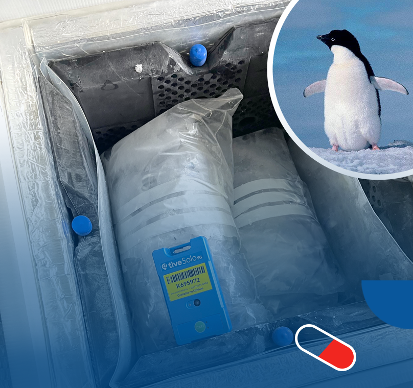 Cold Chain, Warm Impact: Delivering Antarctic Samples to The University of Hong Kong