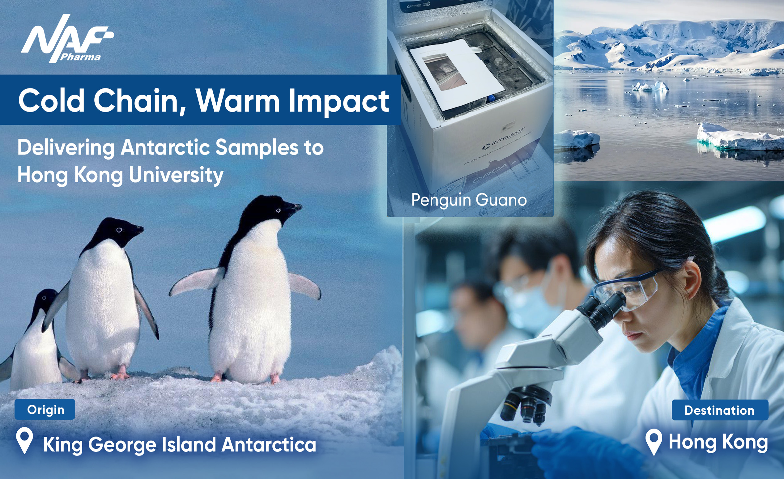 Cold Chain, Warm Impact: Delivering Antarctic Samples to The University of Hong Kong
