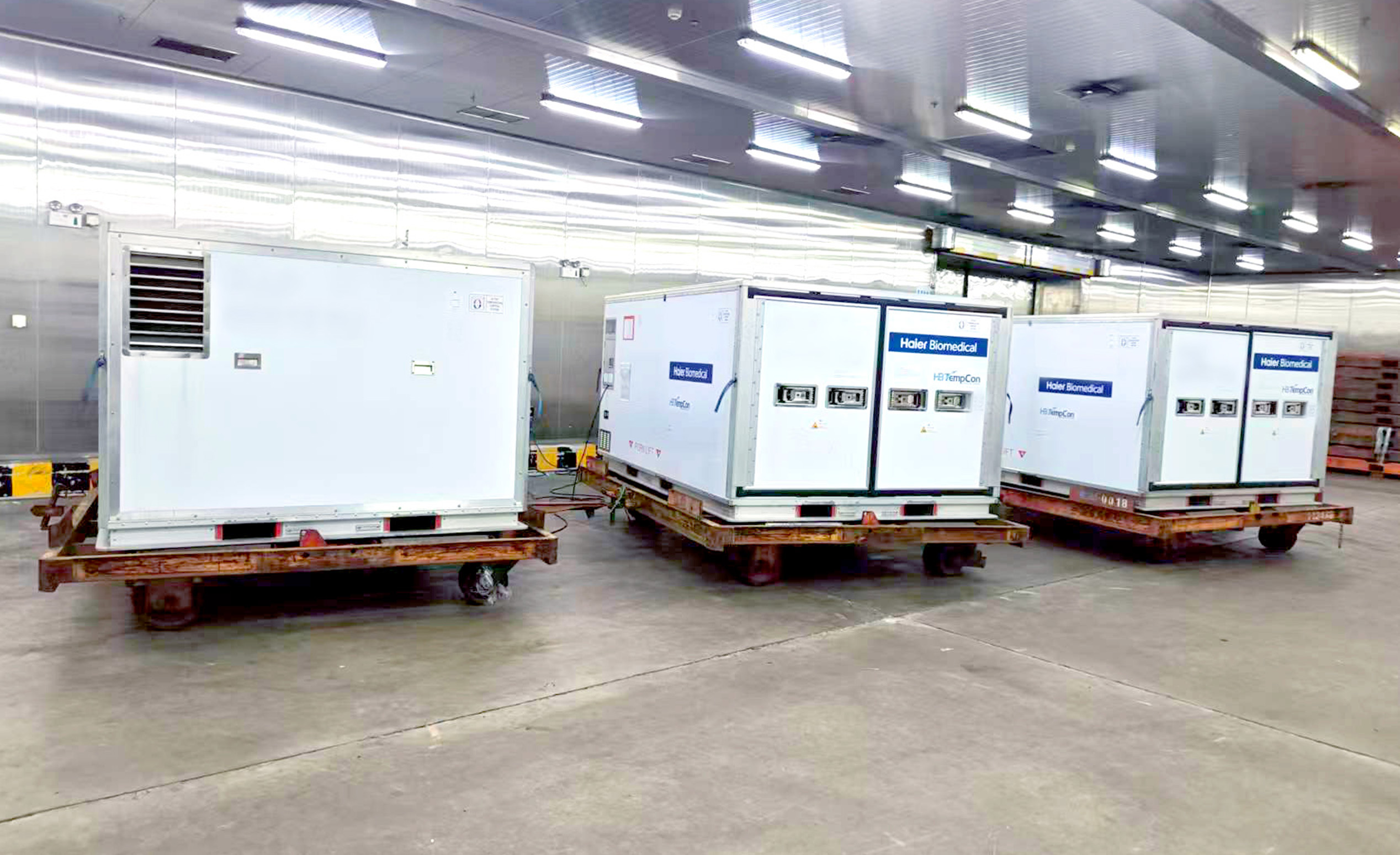 Three Containers, One Flight: The Precision Required for Transplant Medicines