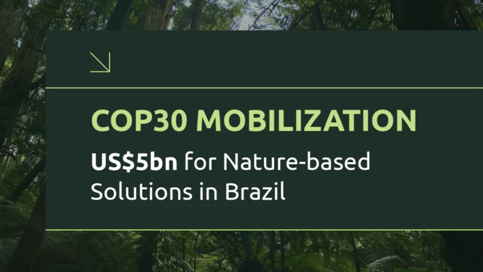 COP30 Brazil NbS Capital Mobilization