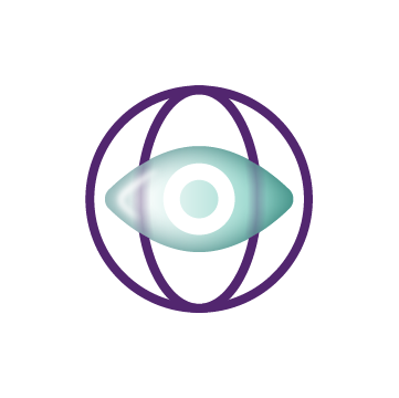 Surveillance Icon
